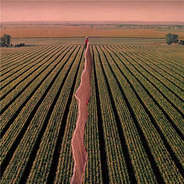 Everybody Split - Front Cover