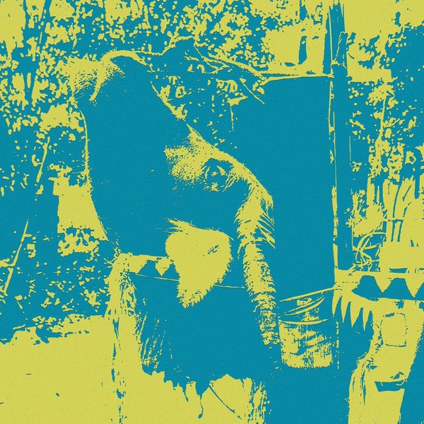 Gongs of the Bahnar: A Buffalo Sacrifice Ceremony - Front Cover