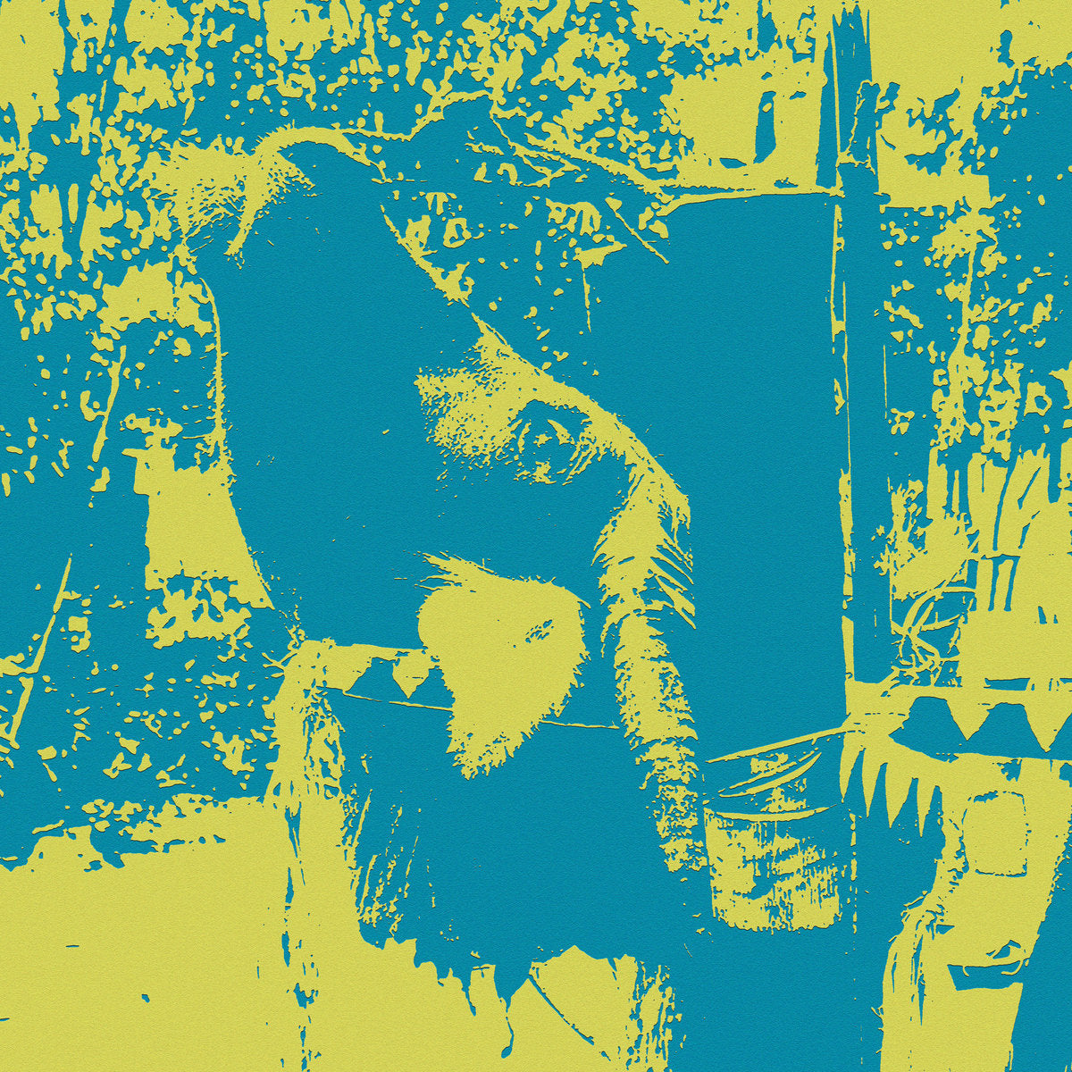 Gongs of the Bahnar: A Buffalo Sacrifice Ceremony - Front Cover