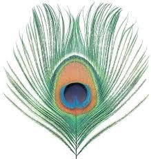 Apple Venus - Front Cover