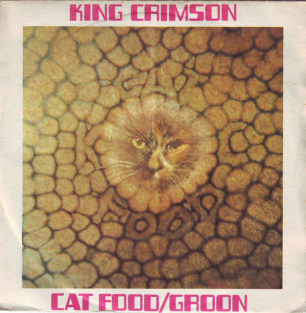 Cat Food/Groon - Front Cover