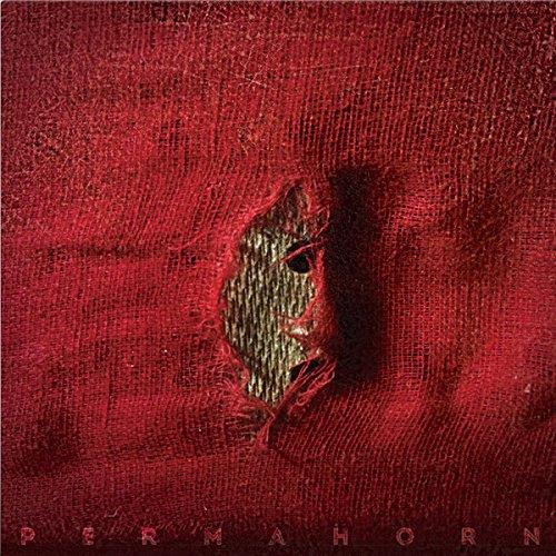 My Blood Carries My Dreams Away/Red LP - Front Cover