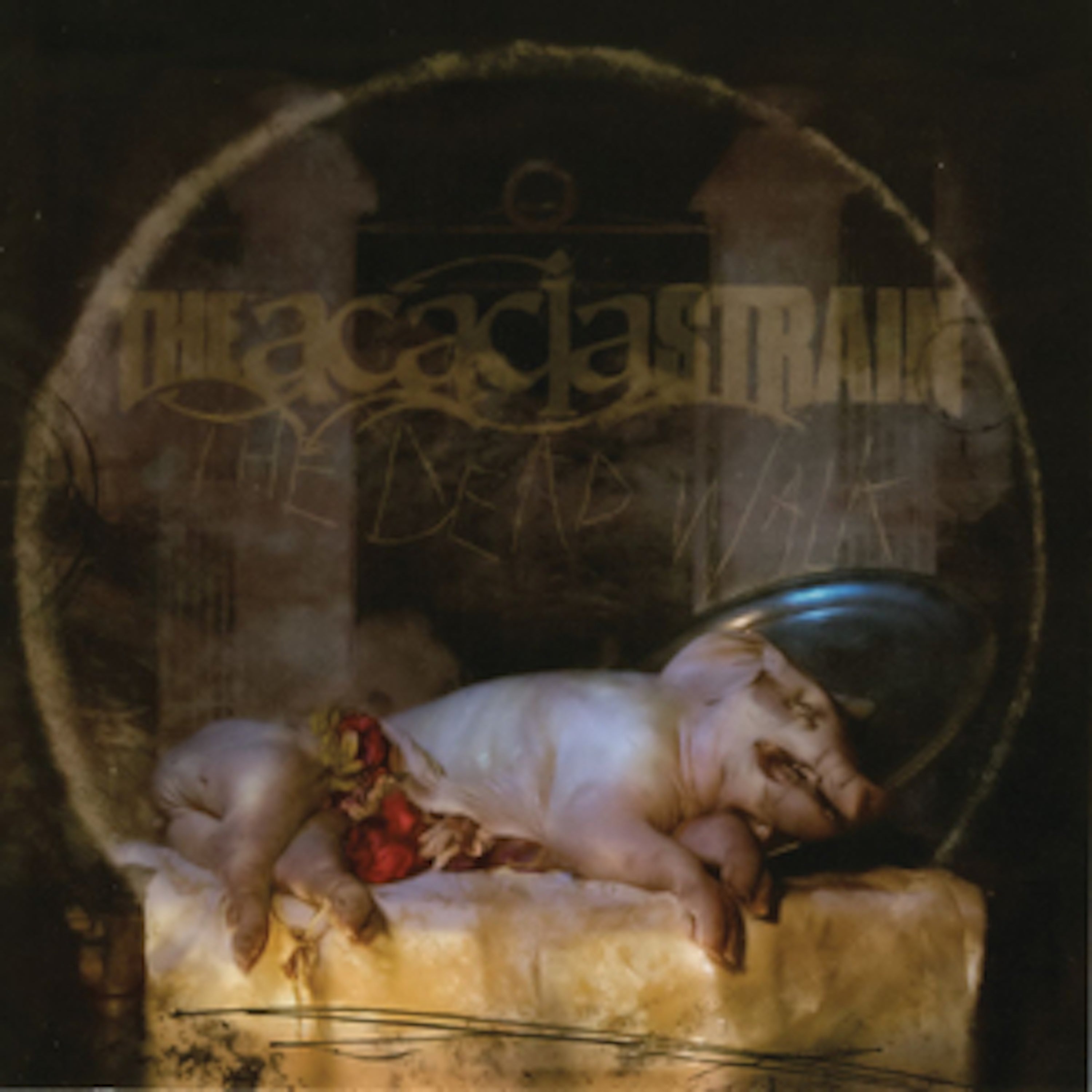 The Dead Walk - Front Cover