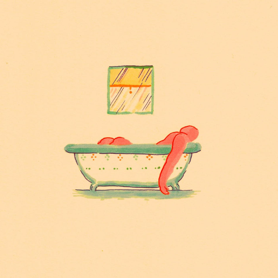 A HAIRSHIRT OF PURPOSE/VINYLE COULEUR - Front Cover