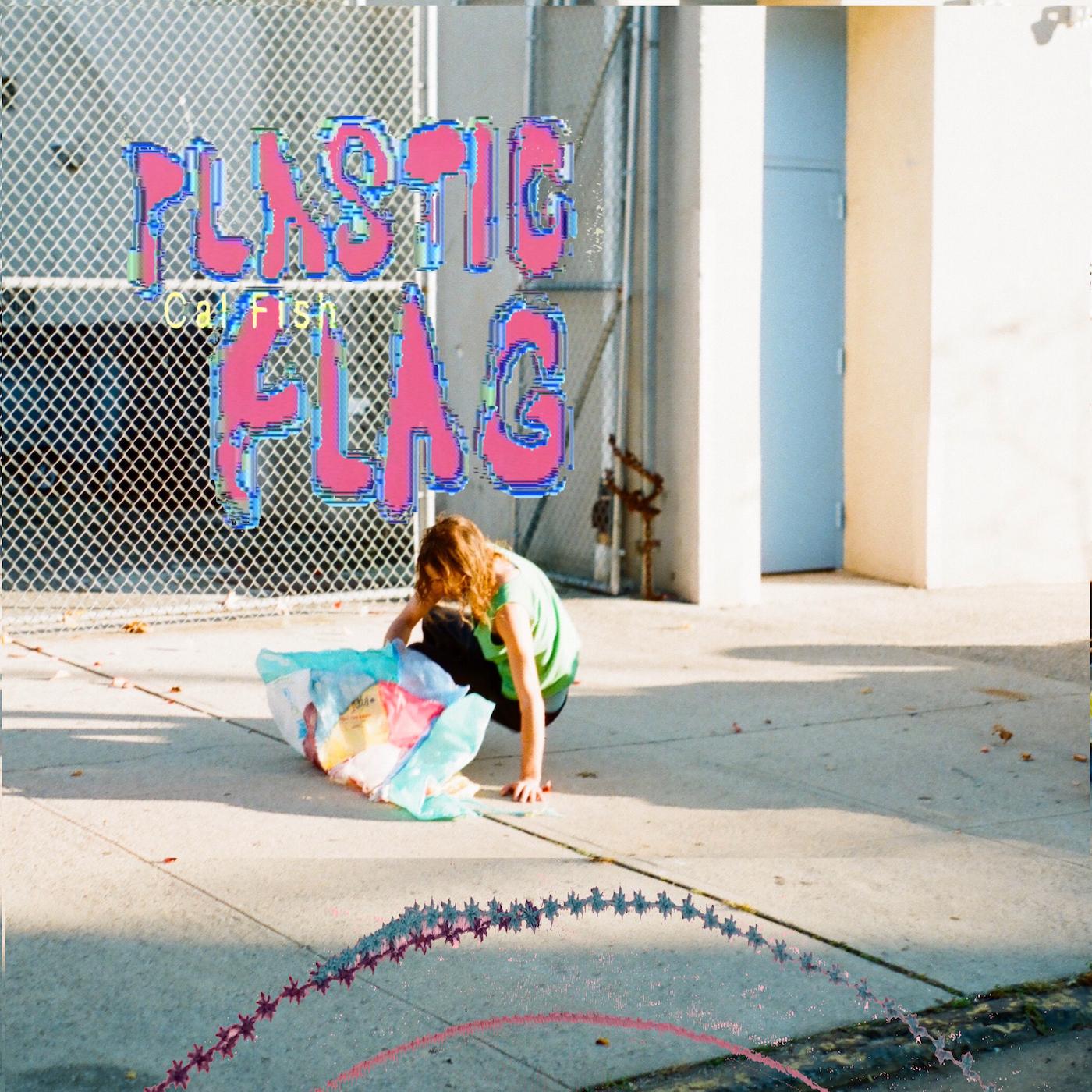 PLASTIC FLAG - Front Cover