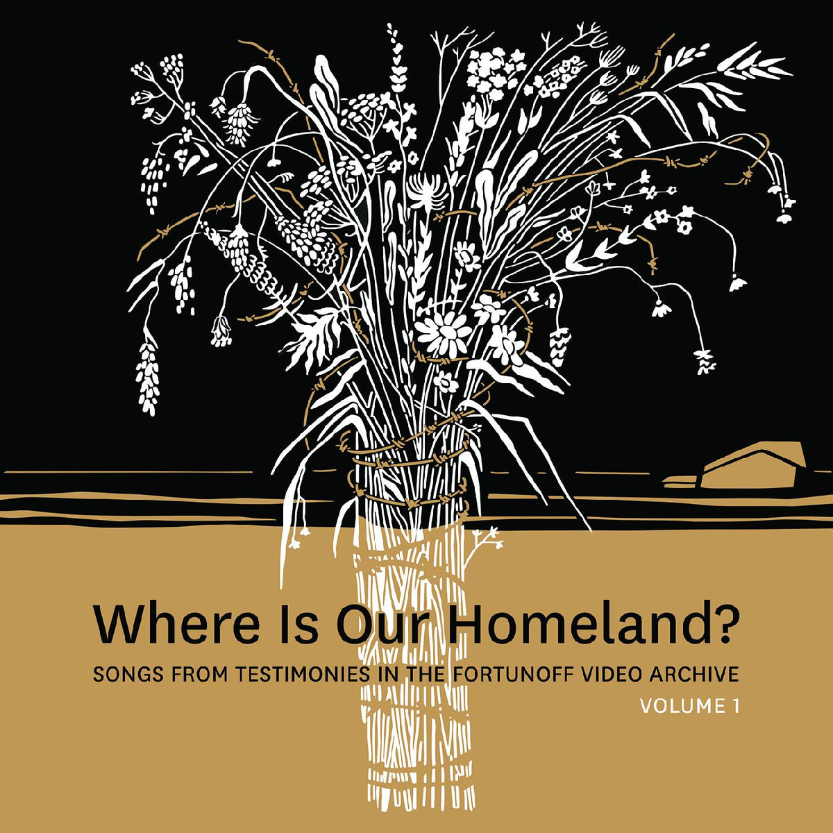 WHERE IS OUR HOMELAND ? - Front Cover