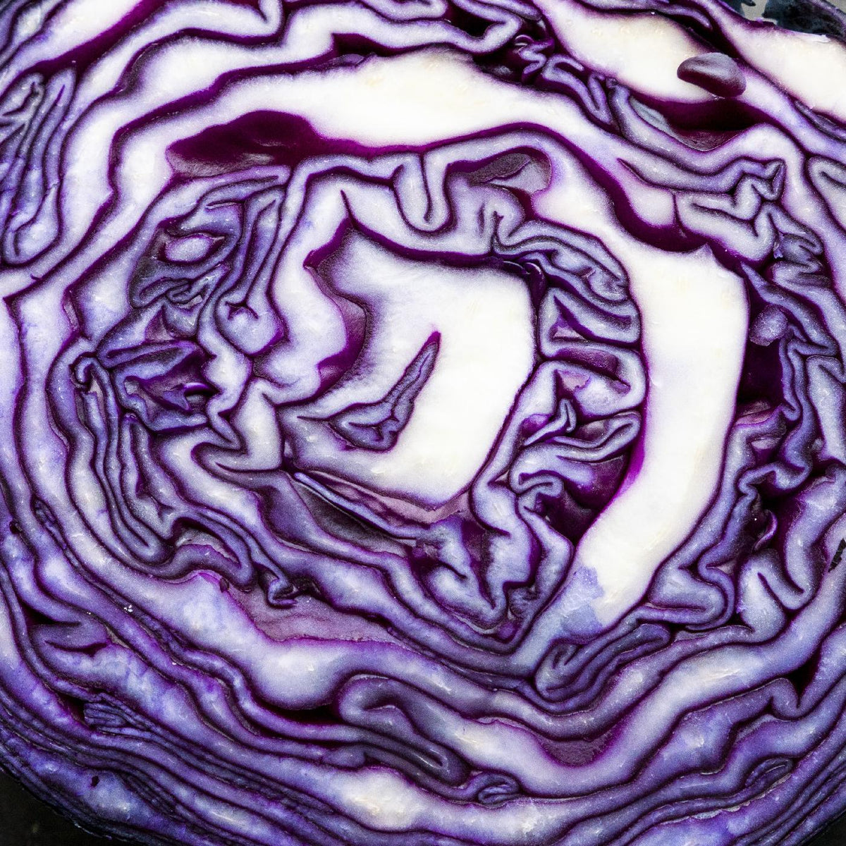 GREATEST HITS 1.0/VINYLE COULEUR - Front Cover