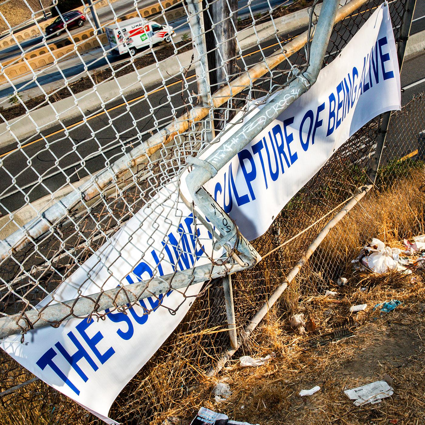 SUBLIME SCULPTURE OF BEING ALIVE - Front Cover