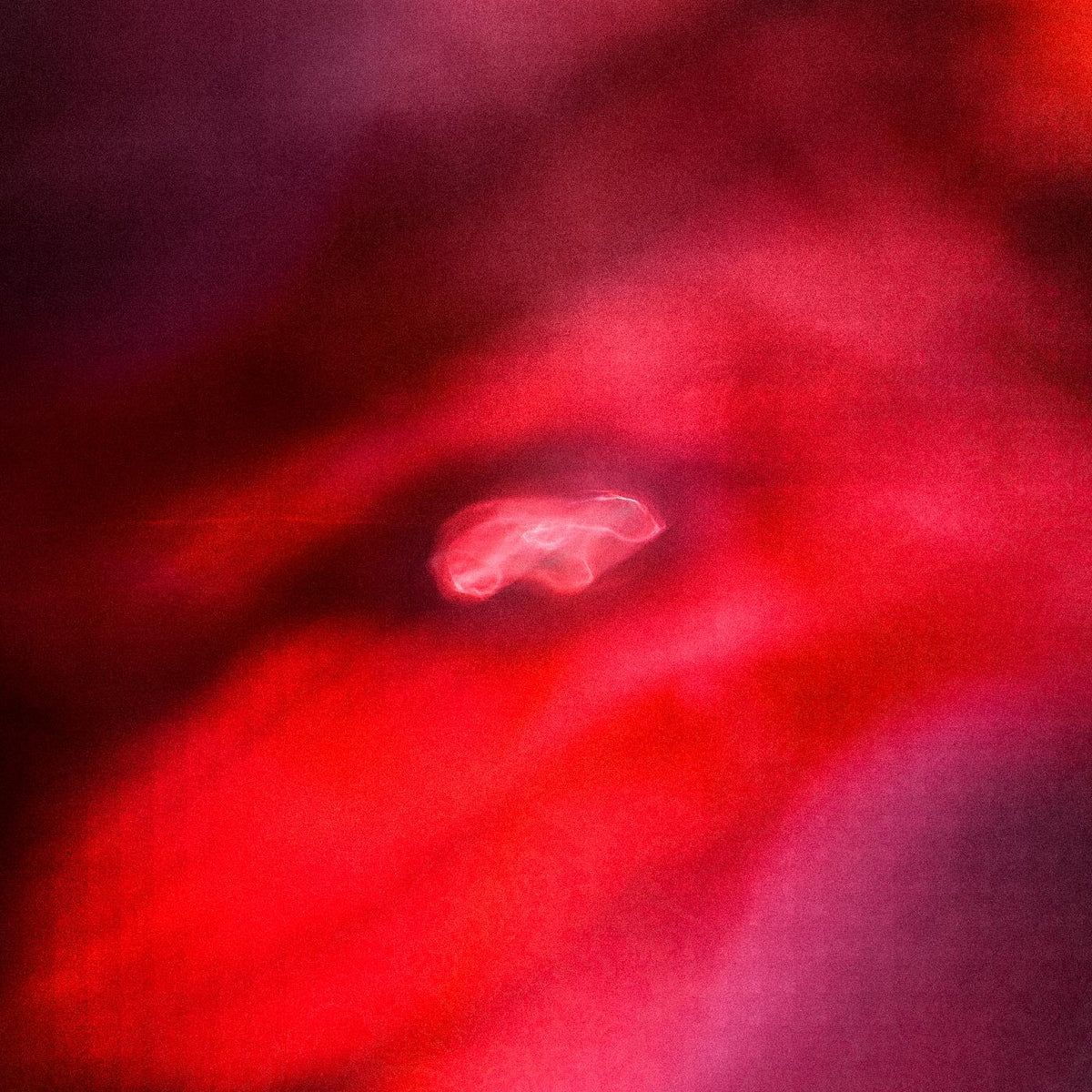 FADED ORBIT/VINYLE 180GR - Front Cover