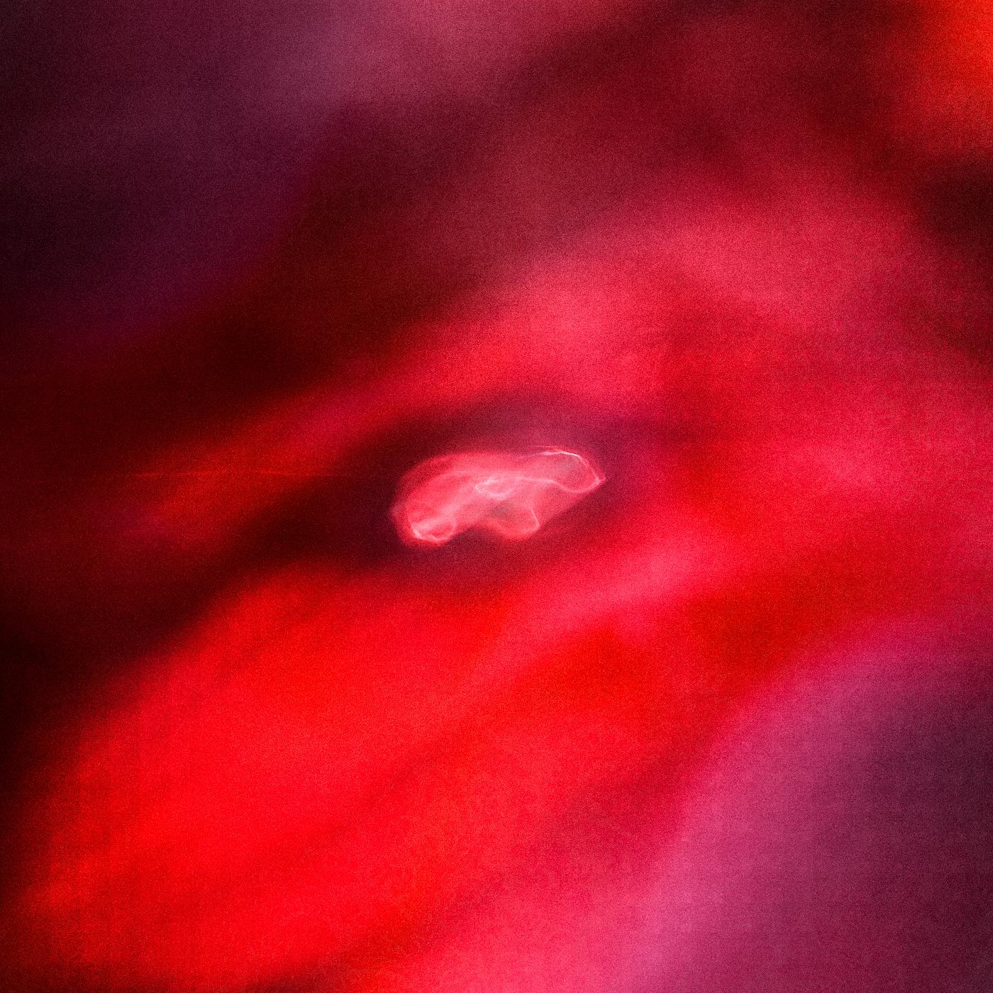 FADED ORBIT/VINYLE 180GR - Front Cover