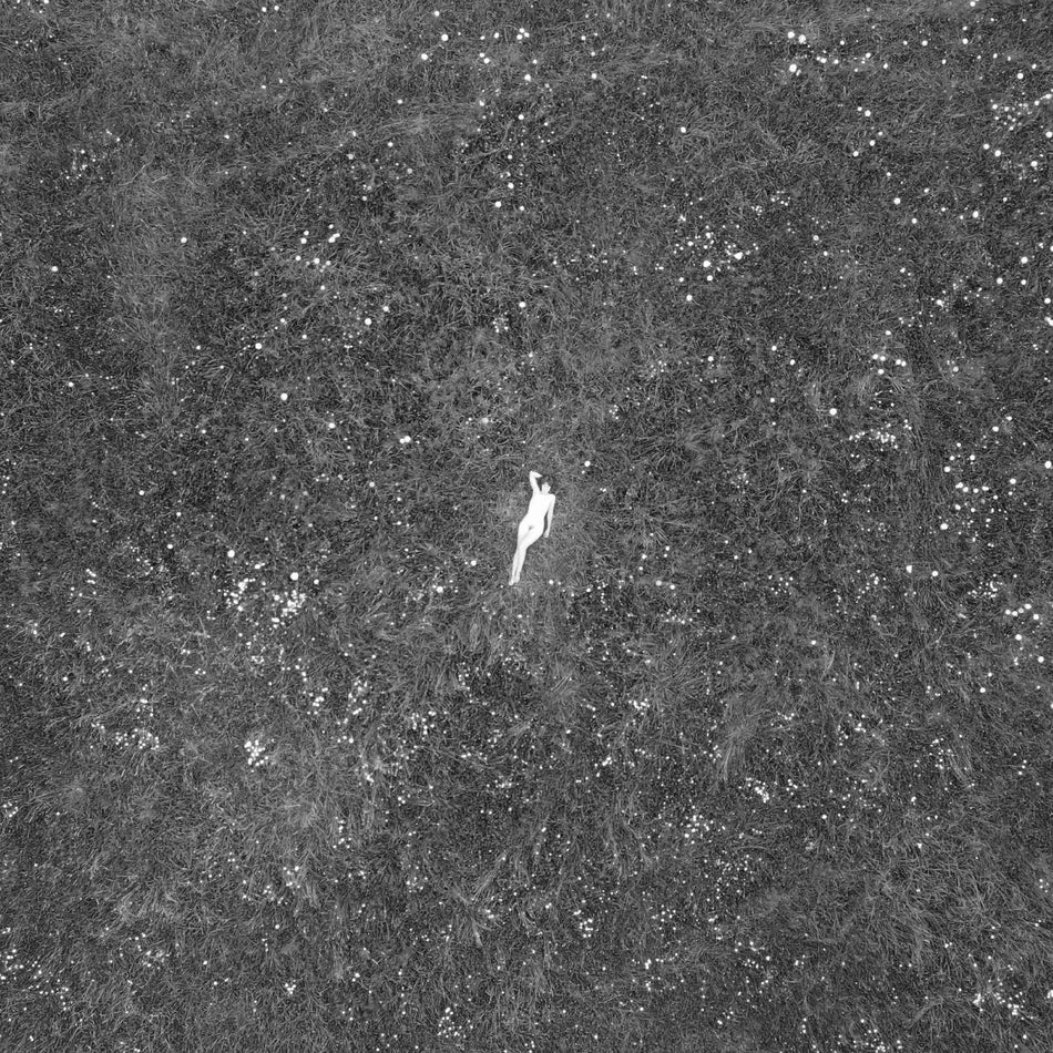 LAST GARDEN/VINYLE 180GR - Front Cover