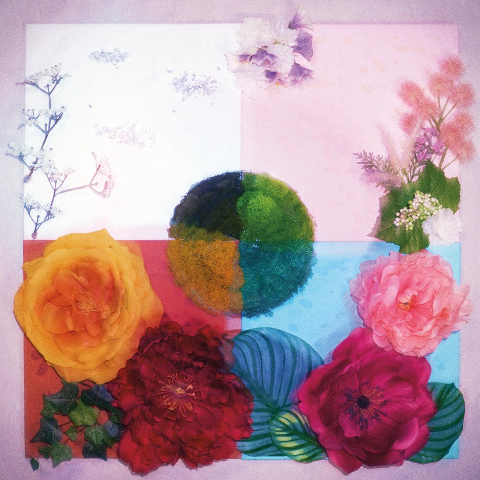 P O C/PROOF OF CONCEPT/VINYLE ROSE ET BORDEAUX LIMITED - Front Cover