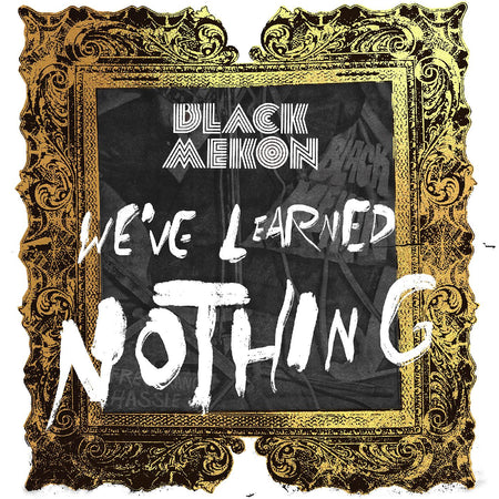WE VE LEARNED NOTHING - Front Cover