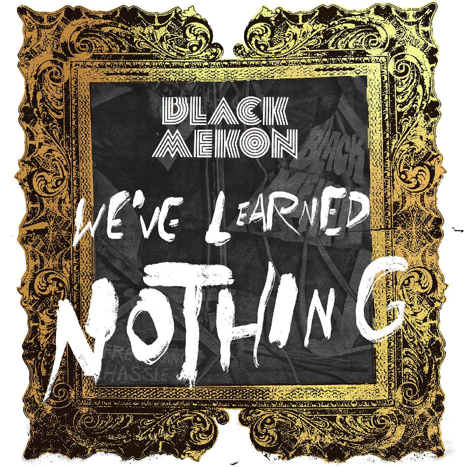 WE VE LEARNED NOTHING - Front Cover