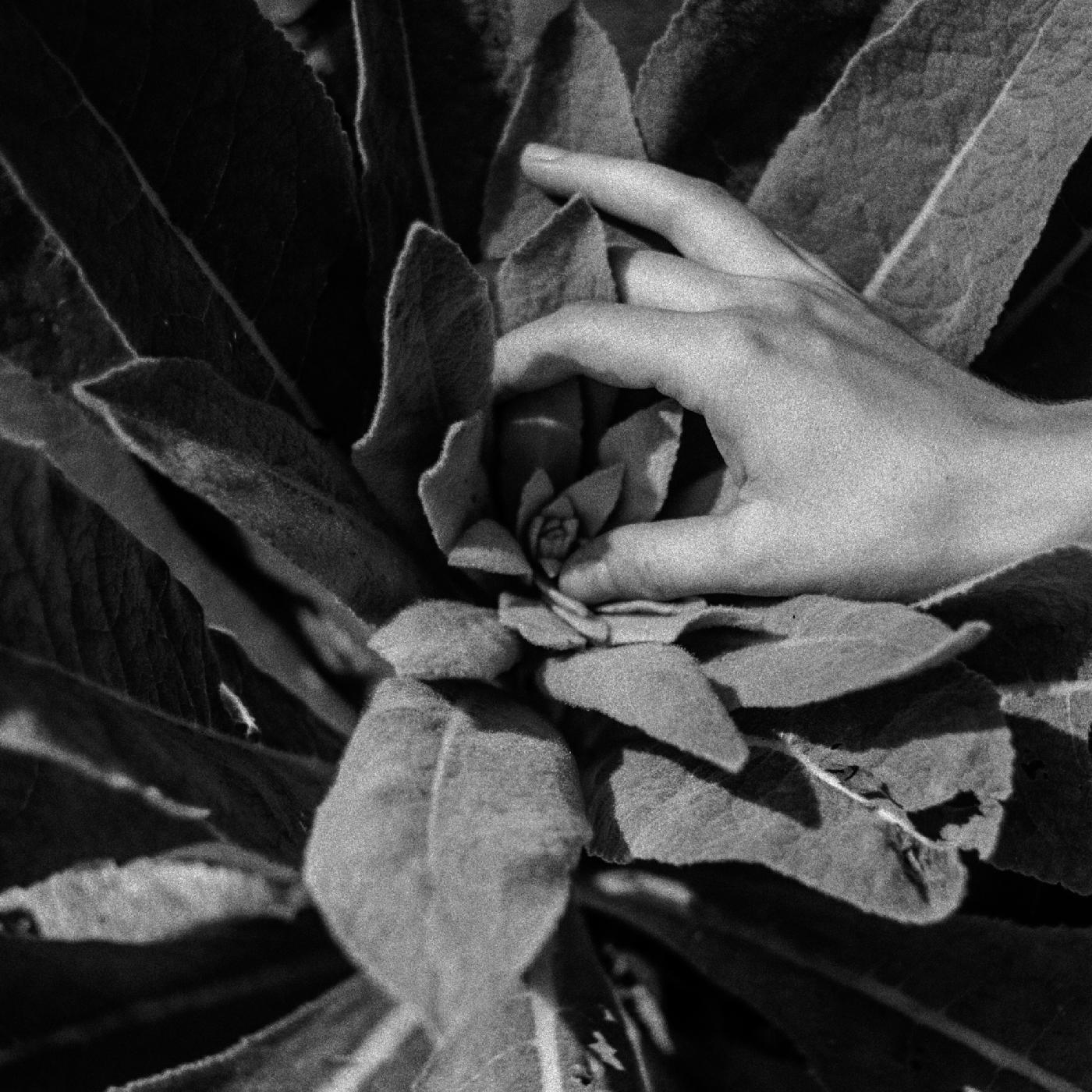 HEIDE/VINYLE AUDIOPHILE 180GR - Front Cover