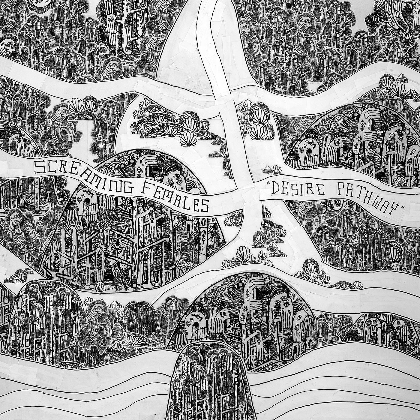 DESIRE PATHWAY/INSERT 12X24 IMPRIME AVEC PAROLES - Front Cover