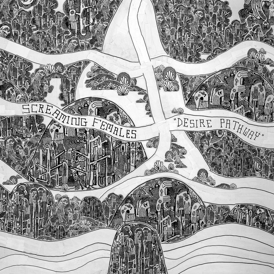 DESIRE PATHWAY/INSERT 12X24 IMPRIME AVEC PAROLES - Front Cover