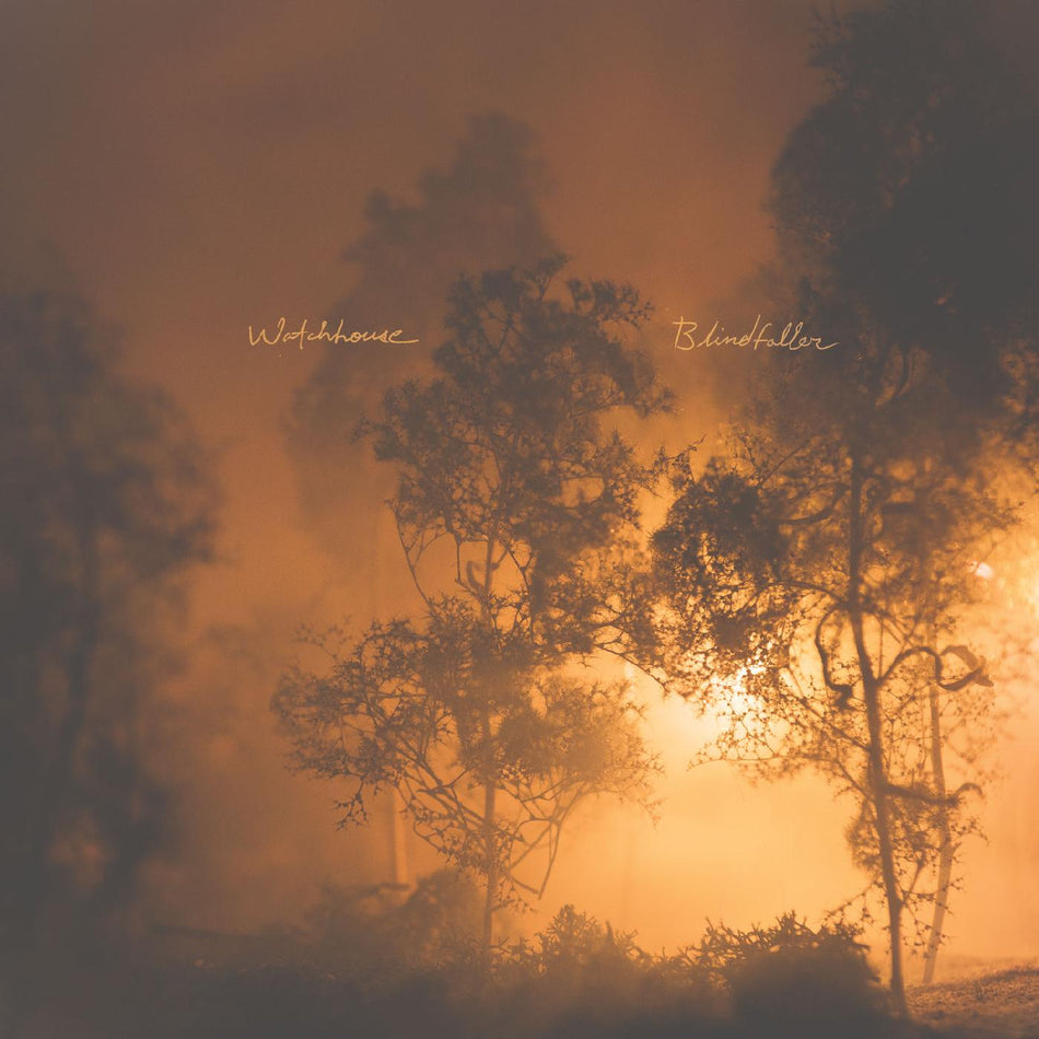 BLINDFALLER/VINYLE ORANGE TRANSPARENT - Front Cover