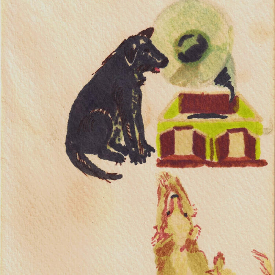 LUCKY DOG - Front Cover