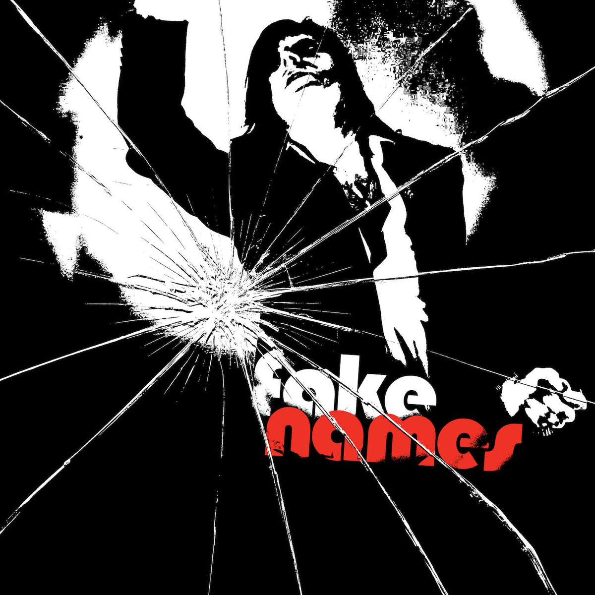 FAKE NAMES - Front Cover