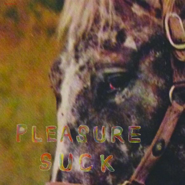 PLEASURE SUCK/VINYLE ORANGE TRANSPARENT - Front Cover