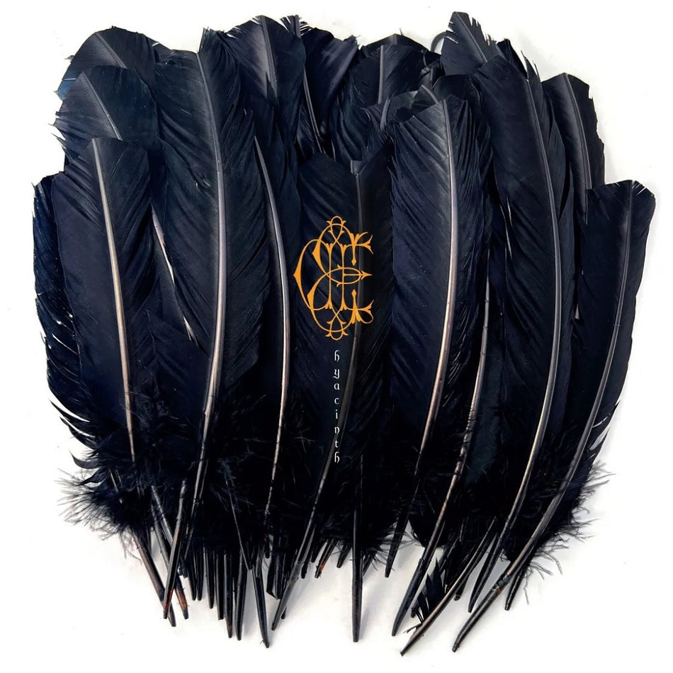 Hyacinth - Front Cover