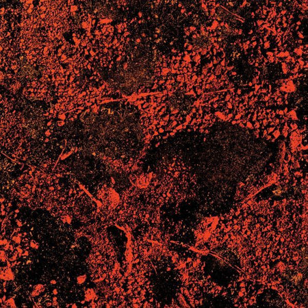 MURDER OF THE UNIVERSE/LIVE AT RED ROCKS 2022/VINYLE TRANSPARENT/INCLUS PUZZLE 100 PIECES - Front Cover