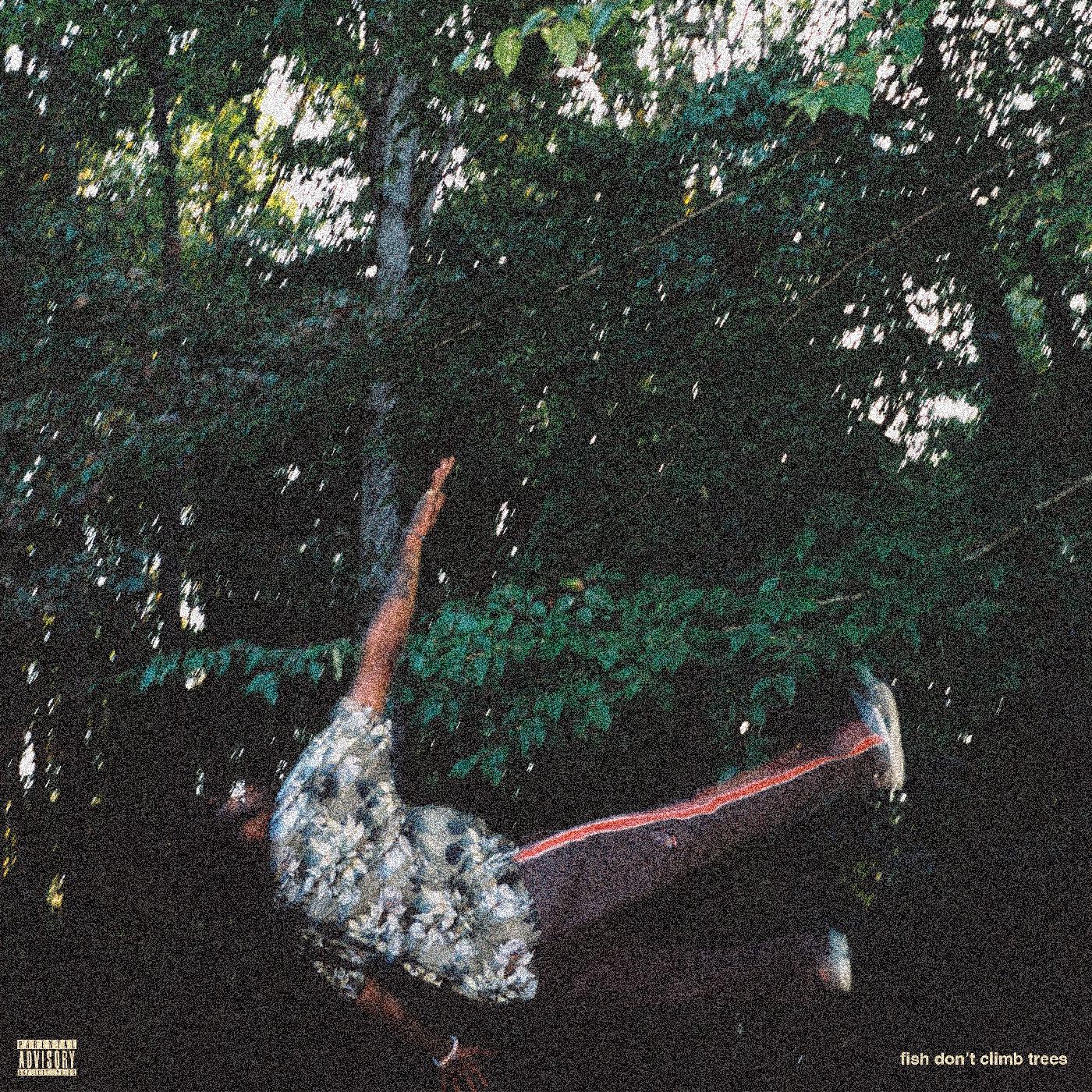 FISH DON'T CLIMB TREES - Front Cover