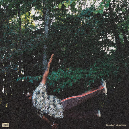 FISH DON'T CLIMB TREES - Front Cover