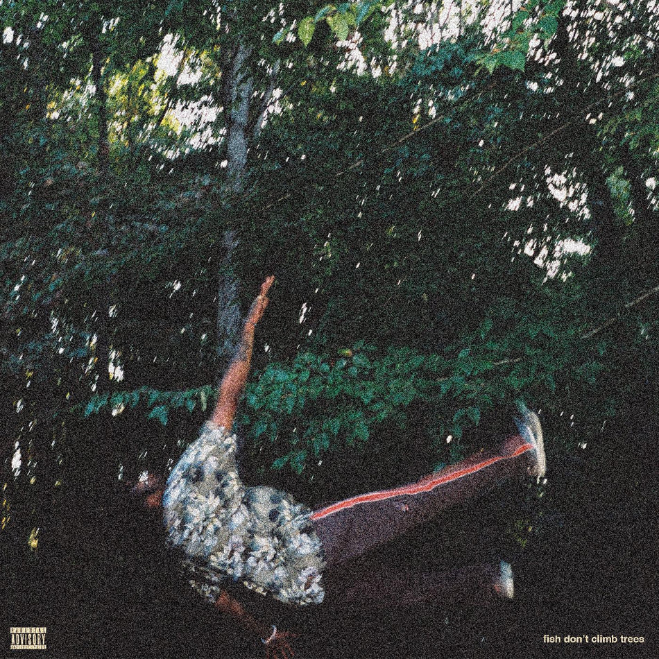 FISH DON'T CLIMB TREES - Front Cover