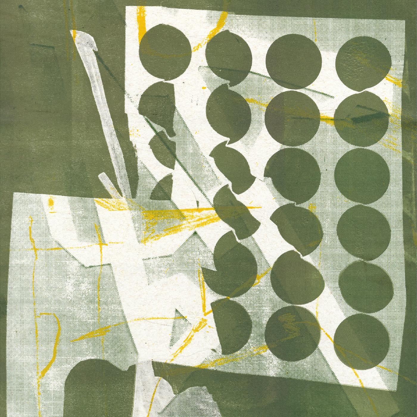 TO HAVE SEVERAL LIVES/VINYLE VERT - Front Cover