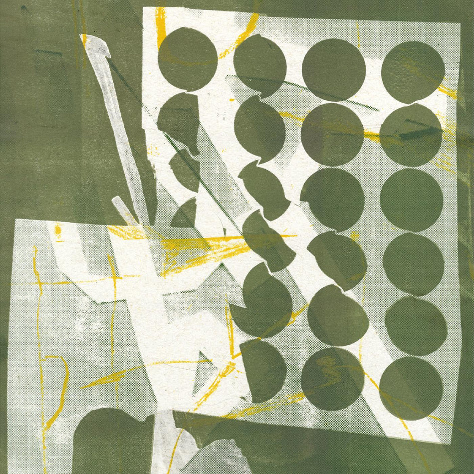 TO HAVE SEVERAL LIVES/VINYLE VERT - Front Cover