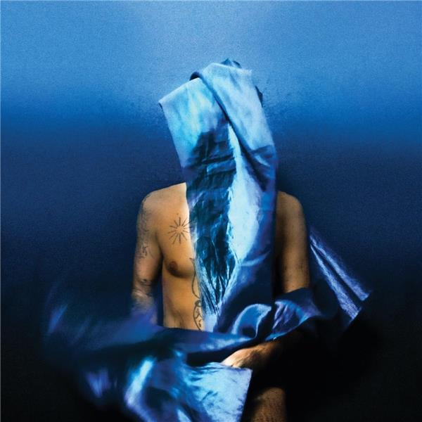 Flying Wig - Front Cover