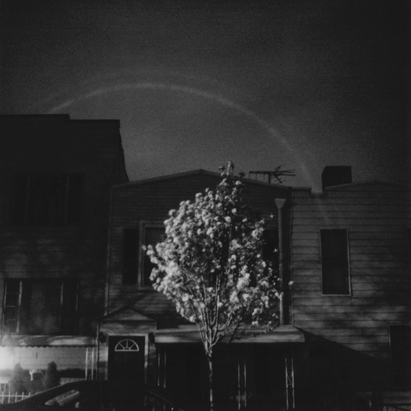 HANDS IN THE HONEY JAR/VINYLE CYAN FONCE ET BLANC - Front Cover