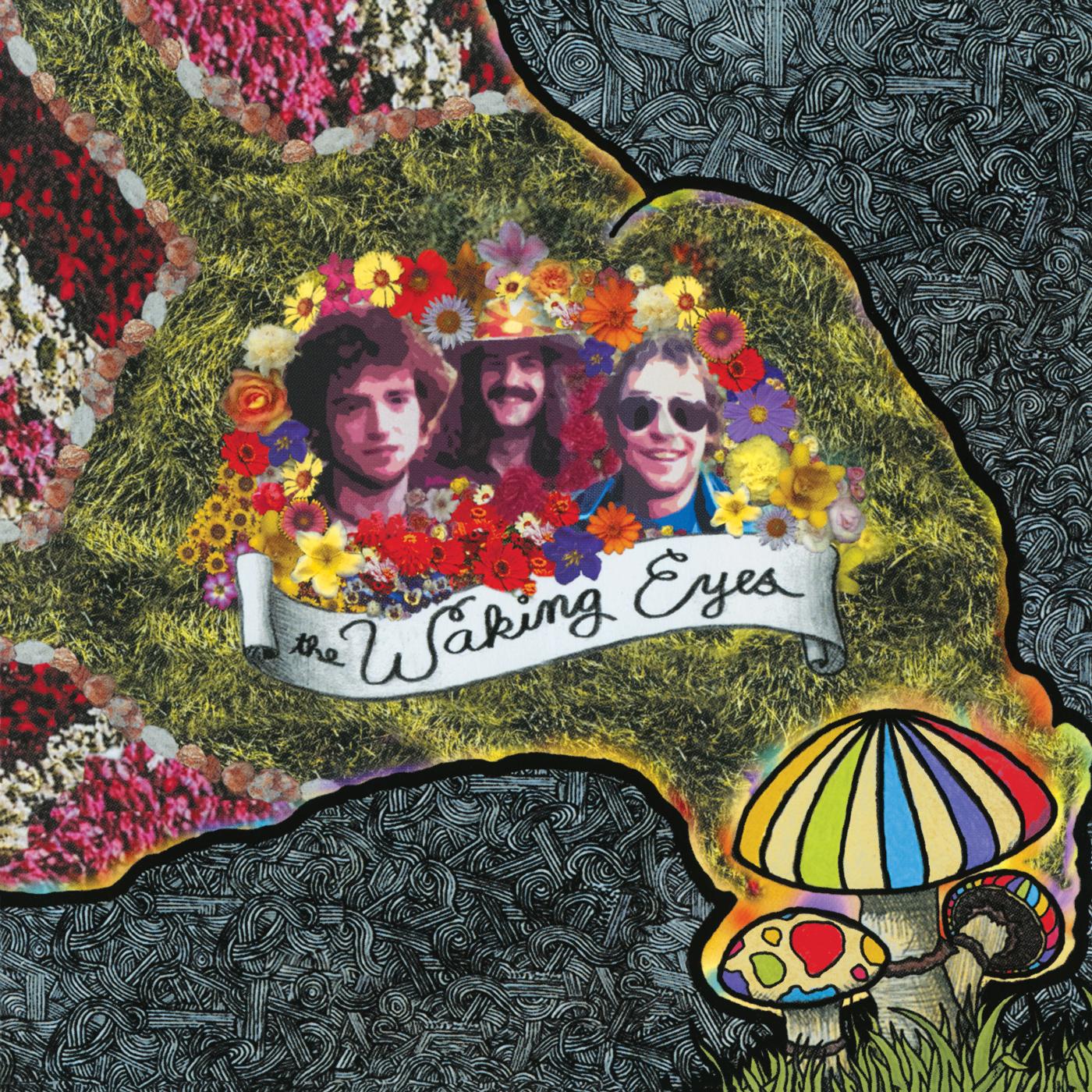 COMBING THE CLOUD - Front Cover