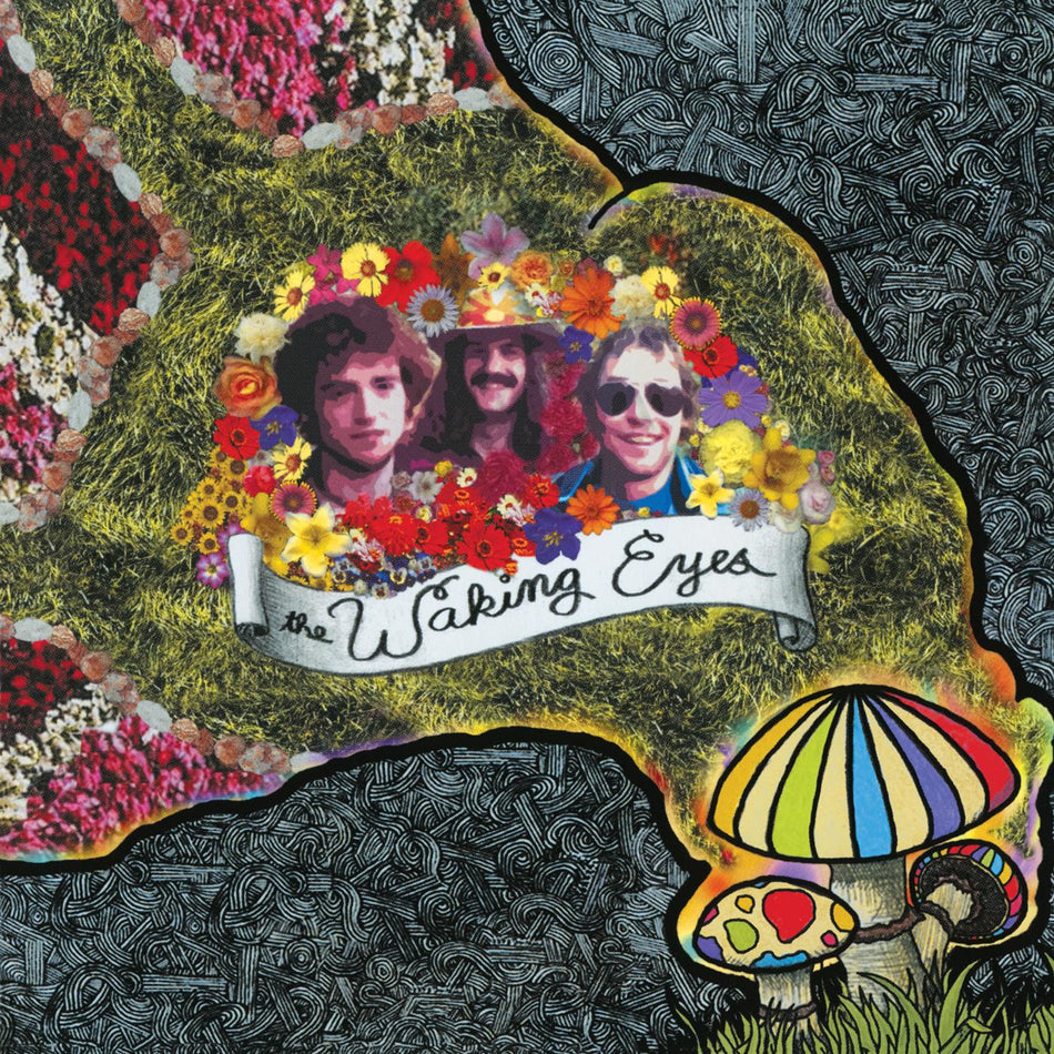 COMBING THE CLOUD - Front Cover