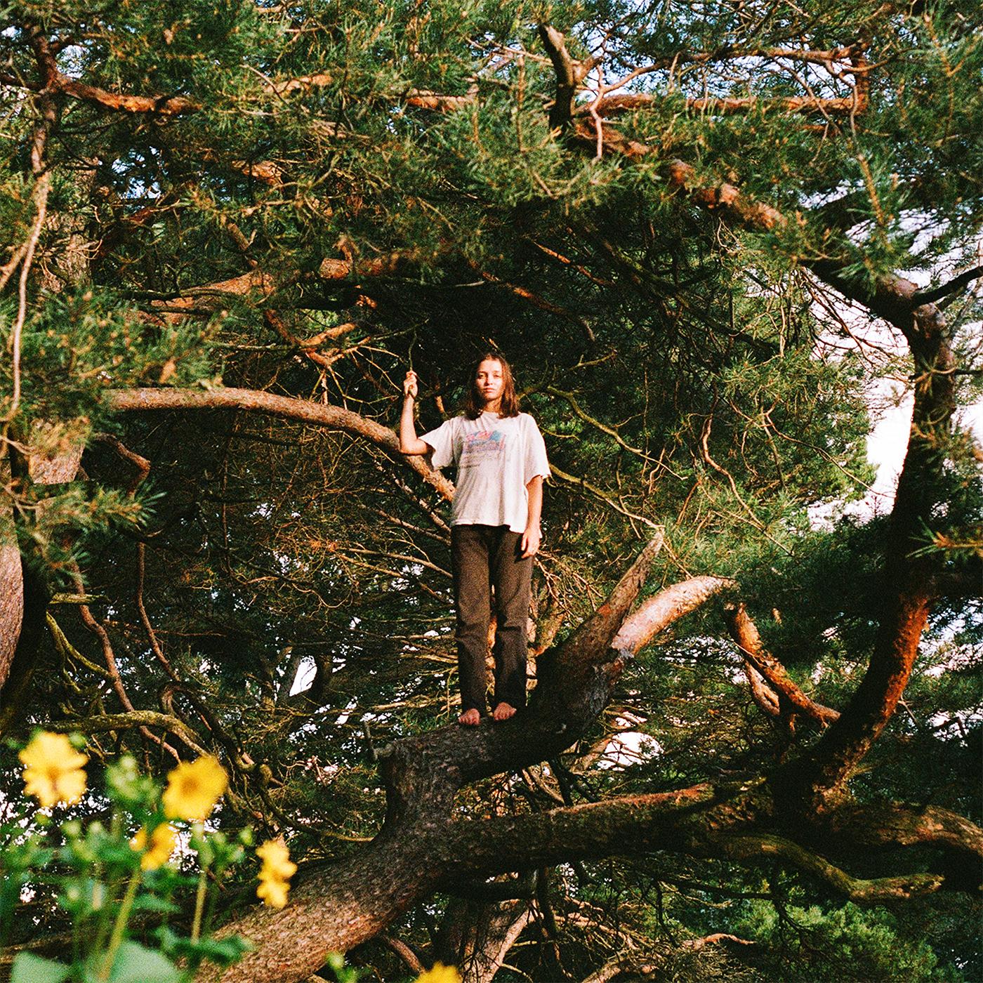 MELT THE HONEY - Front Cover