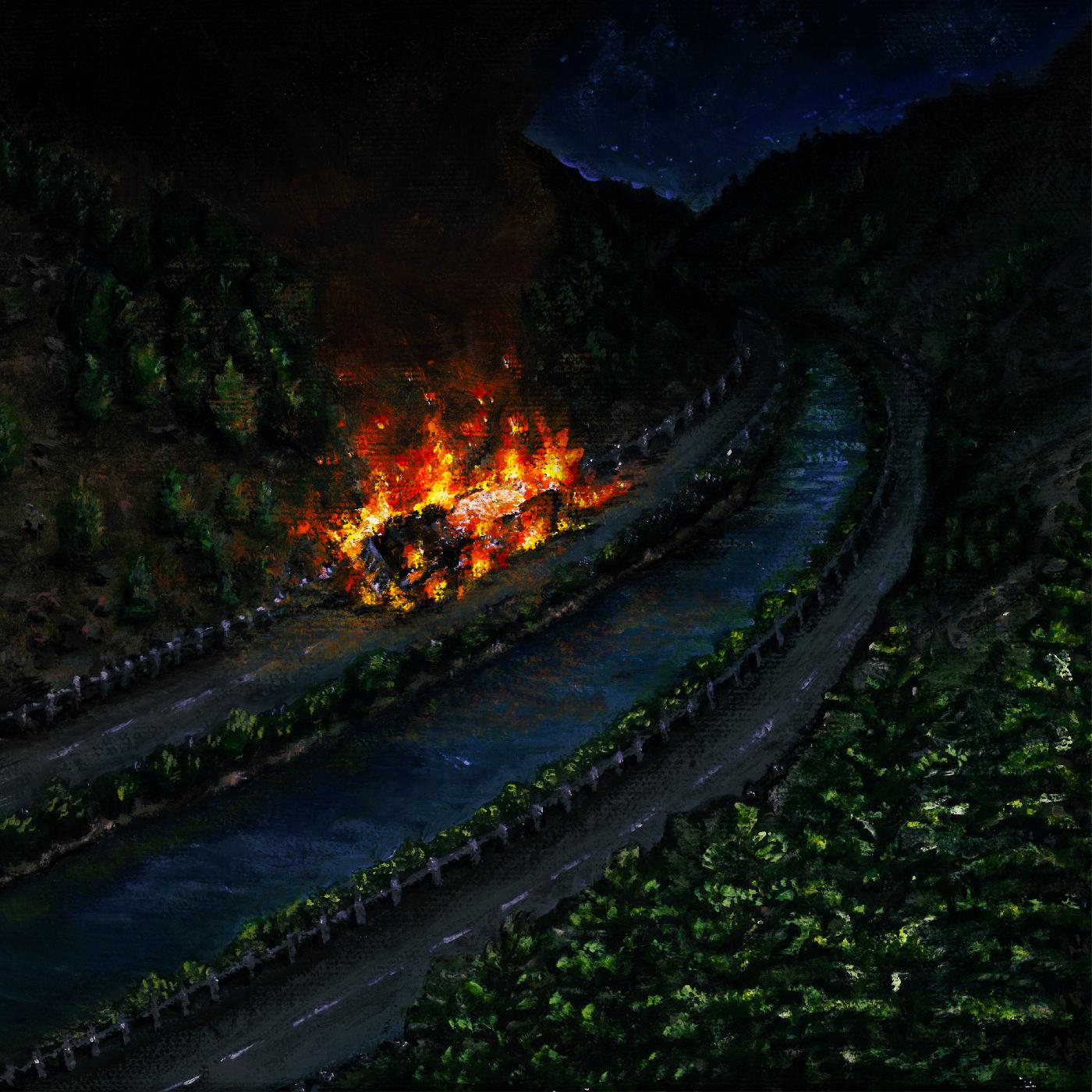 CHAOS TAKES THE WHEEL AND I AM A PASSENGER/VINYLE NOIR ET OR - Front Cover