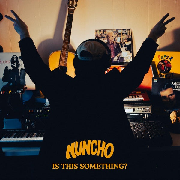 Is This Something? - Front Cover