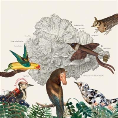 Birds Of Marsville - Front Cover
