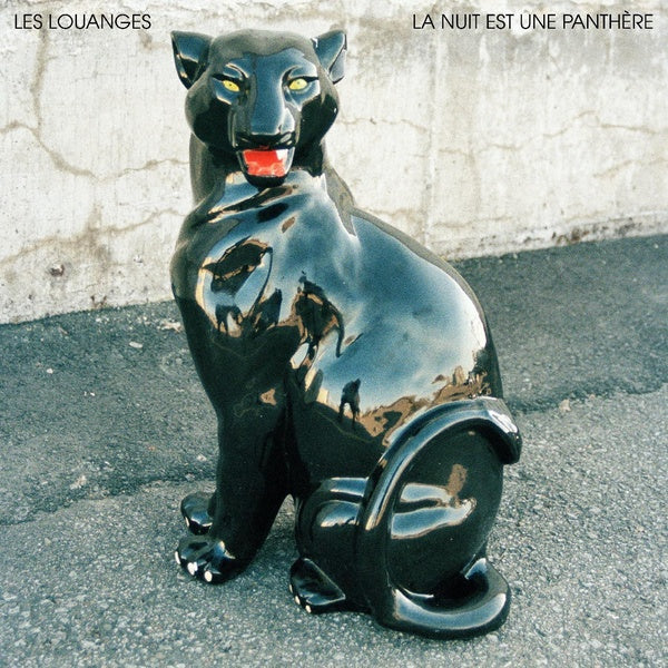 La nuit est une panthère - Front Cover