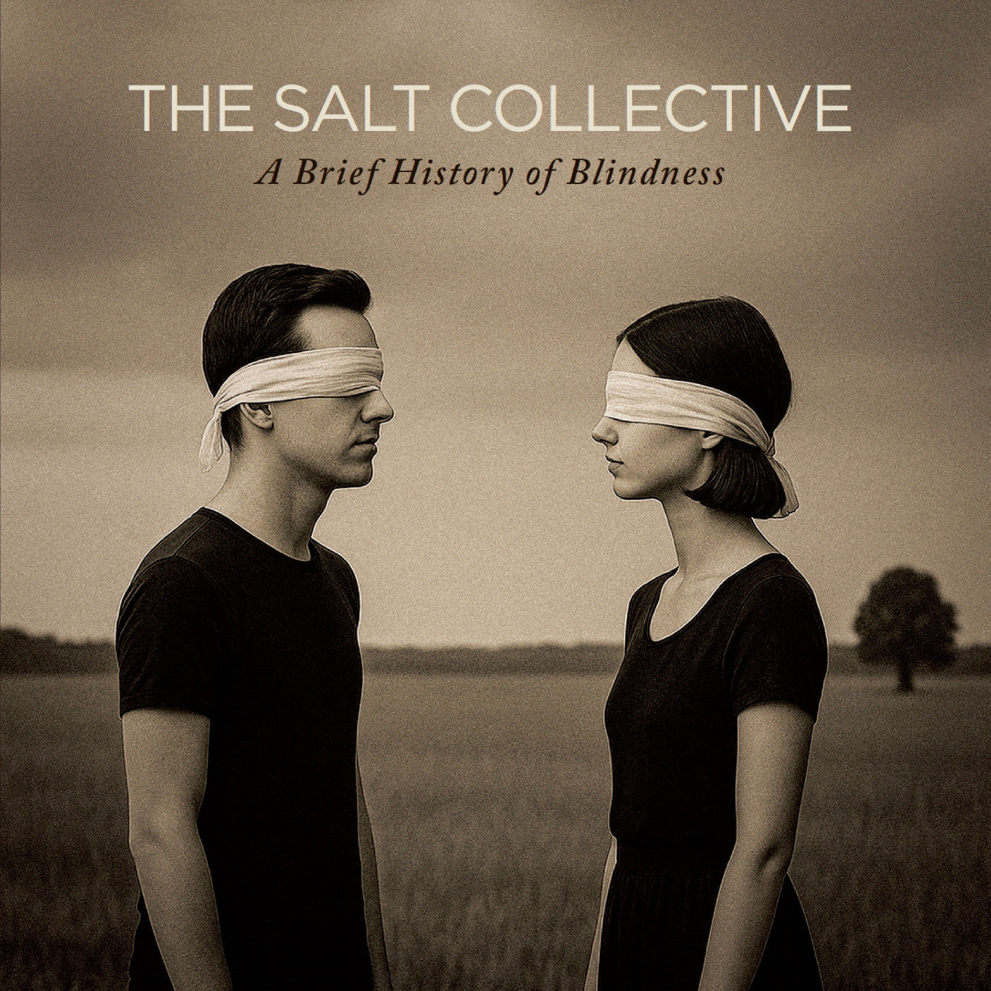 A BRIEF HISTORY OF BLINDNESS / EDITION LIMITEE COULEUR OR NOIR ECLATE - Front Cover