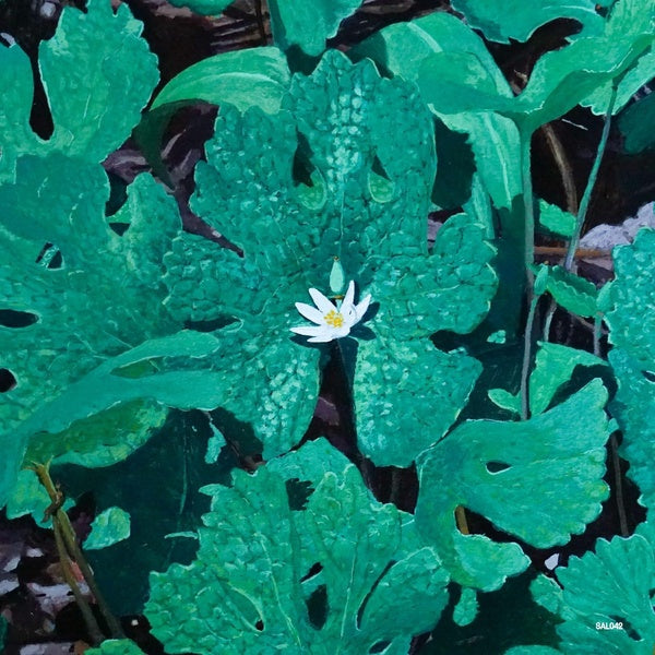 WETLAND INTERIORS - Front Cover