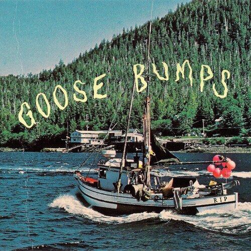 GOOSE BUMPS - Front Cover