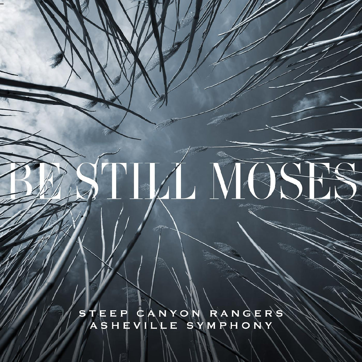BE STILL MOSES/VINYLE COULEUR - Front Cover