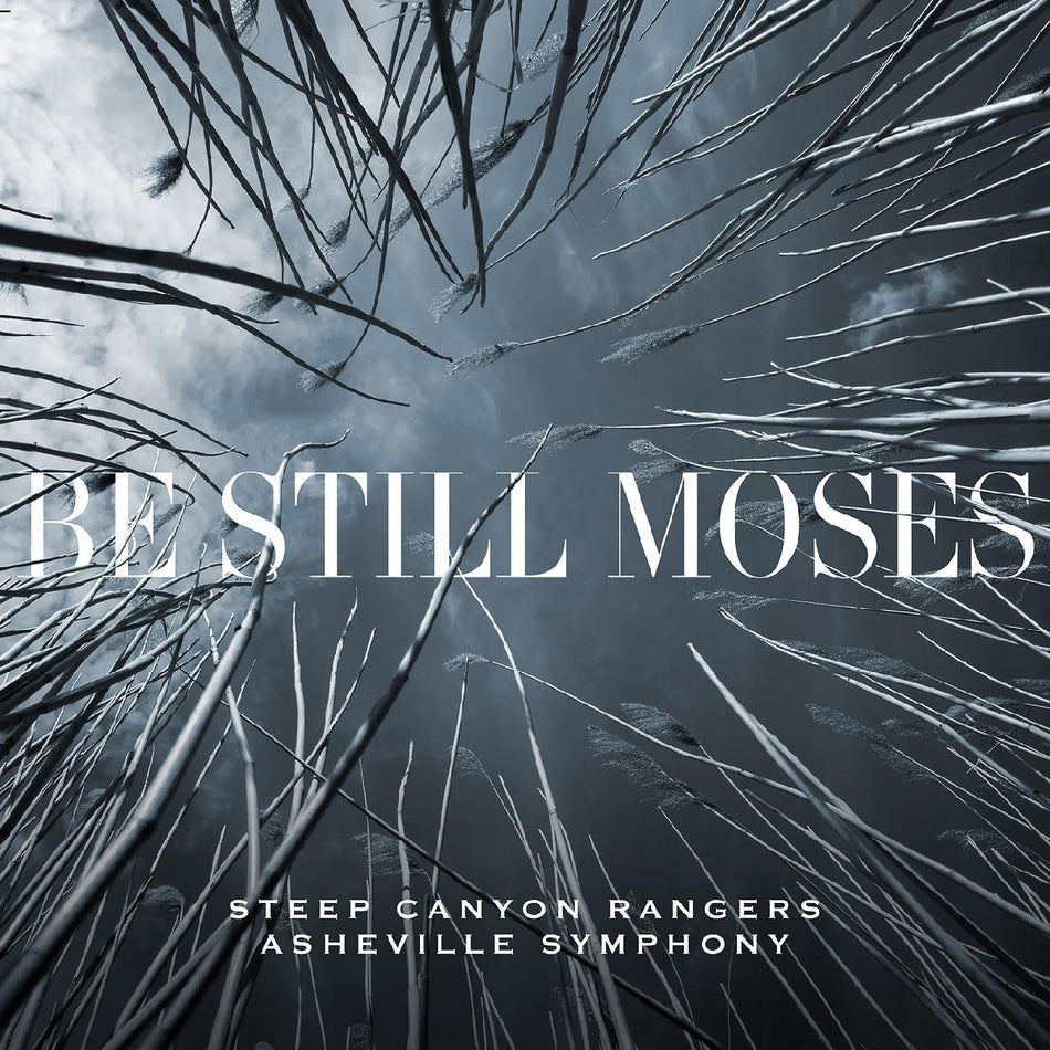 BE STILL MOSES/VINYLE COULEUR - Front Cover