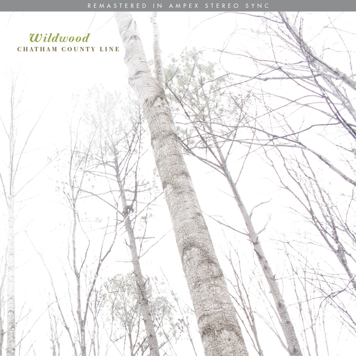WILDWOOD - Front Cover