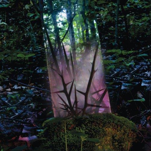 Stealth of Days - Front Cover