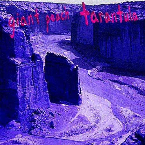 Tarantula - Front Cover