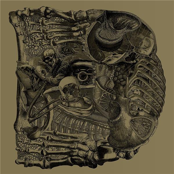 Dear (Deluxe reissue) - Front Cover